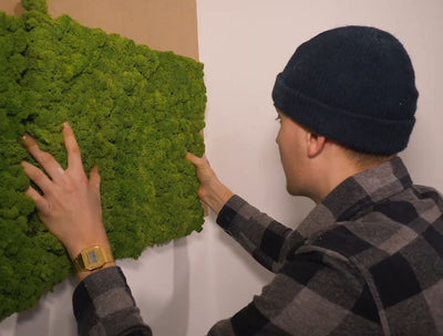 Mooswand leicht gemacht!