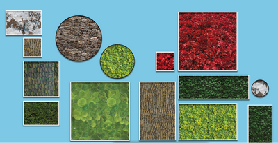 Talk & Kulinarik by Freund - Feb'23