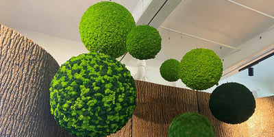 Besondere Einzelstücke