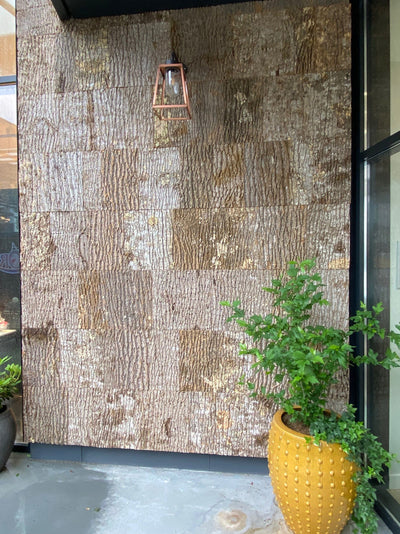 Pappelbaumrinde Schindeln