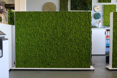 Raumteiler Islandmoos 160 x 200 cm auf Rollen