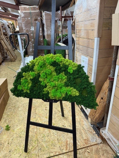 Moosbild-Duo "Halbmond"