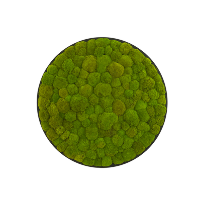 Hügelmoos ohne Rahmen - rund