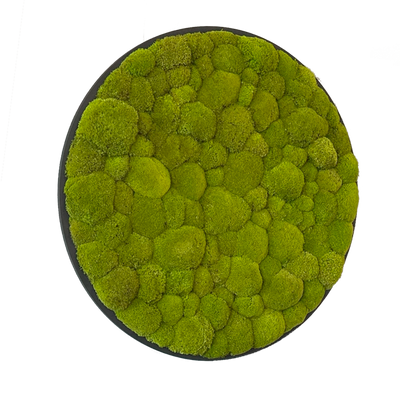 Hügelmoos ohne Rahmen - rund