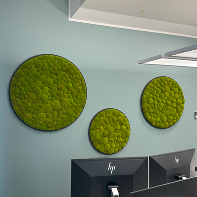 Hügelmoos ohne Rahmen - rund