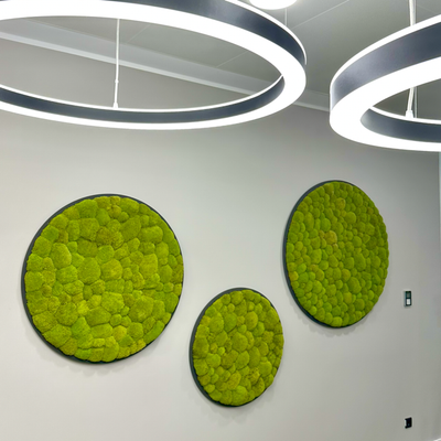 Hügelmoos ohne Rahmen - rund