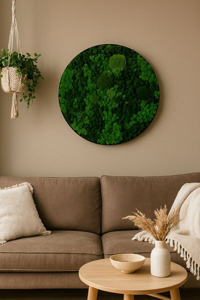 Evergreen Nebula rund