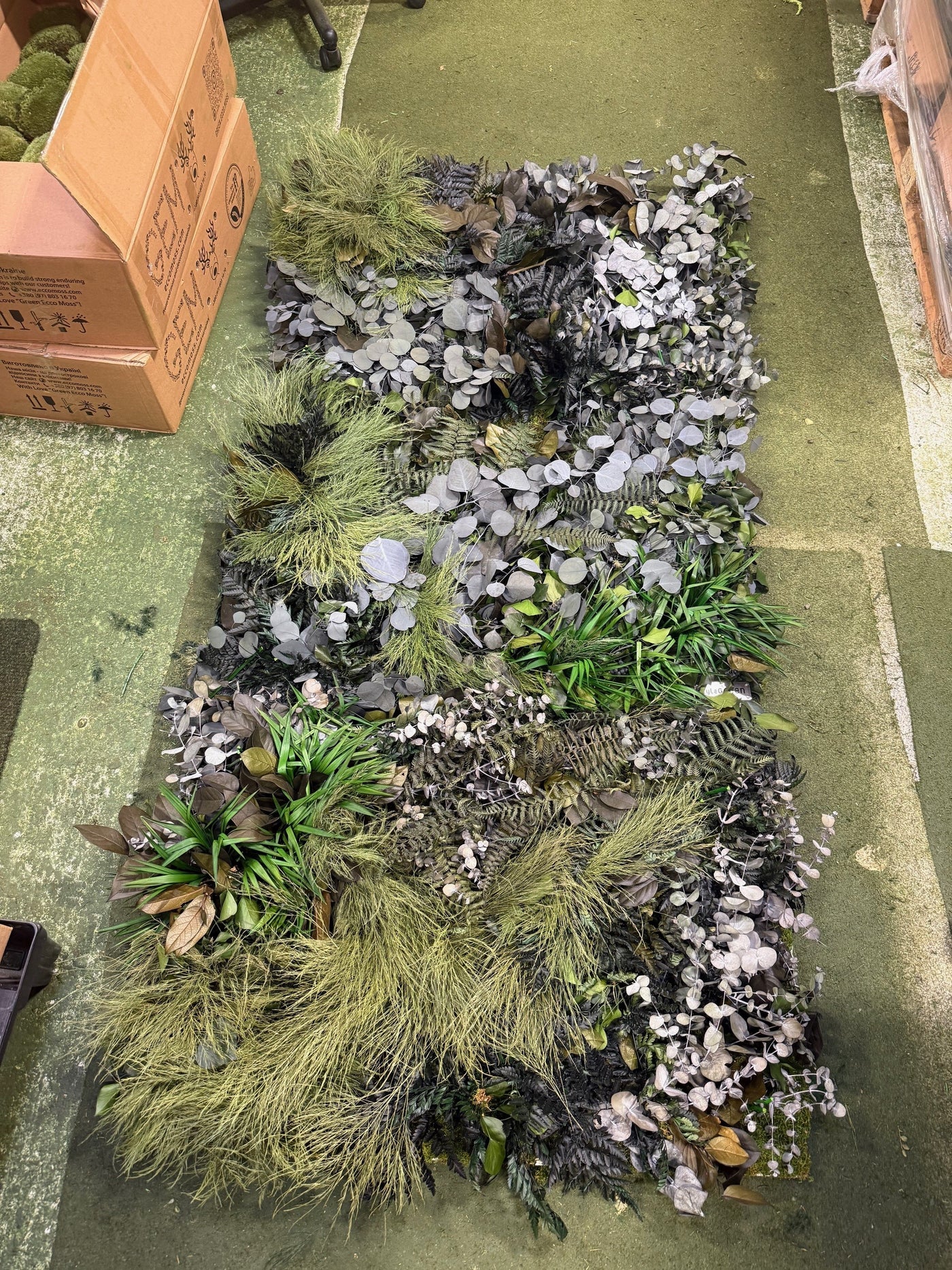 Pflanzenbild dreiteilig