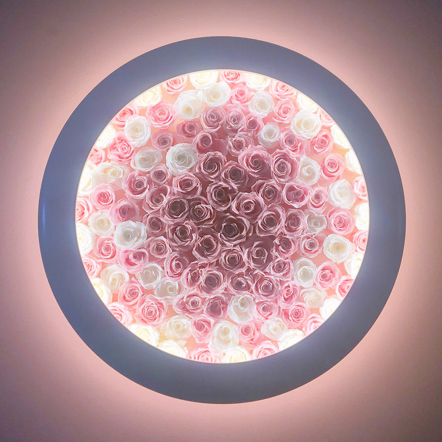 Rosenbild mit Leuchtrahmen