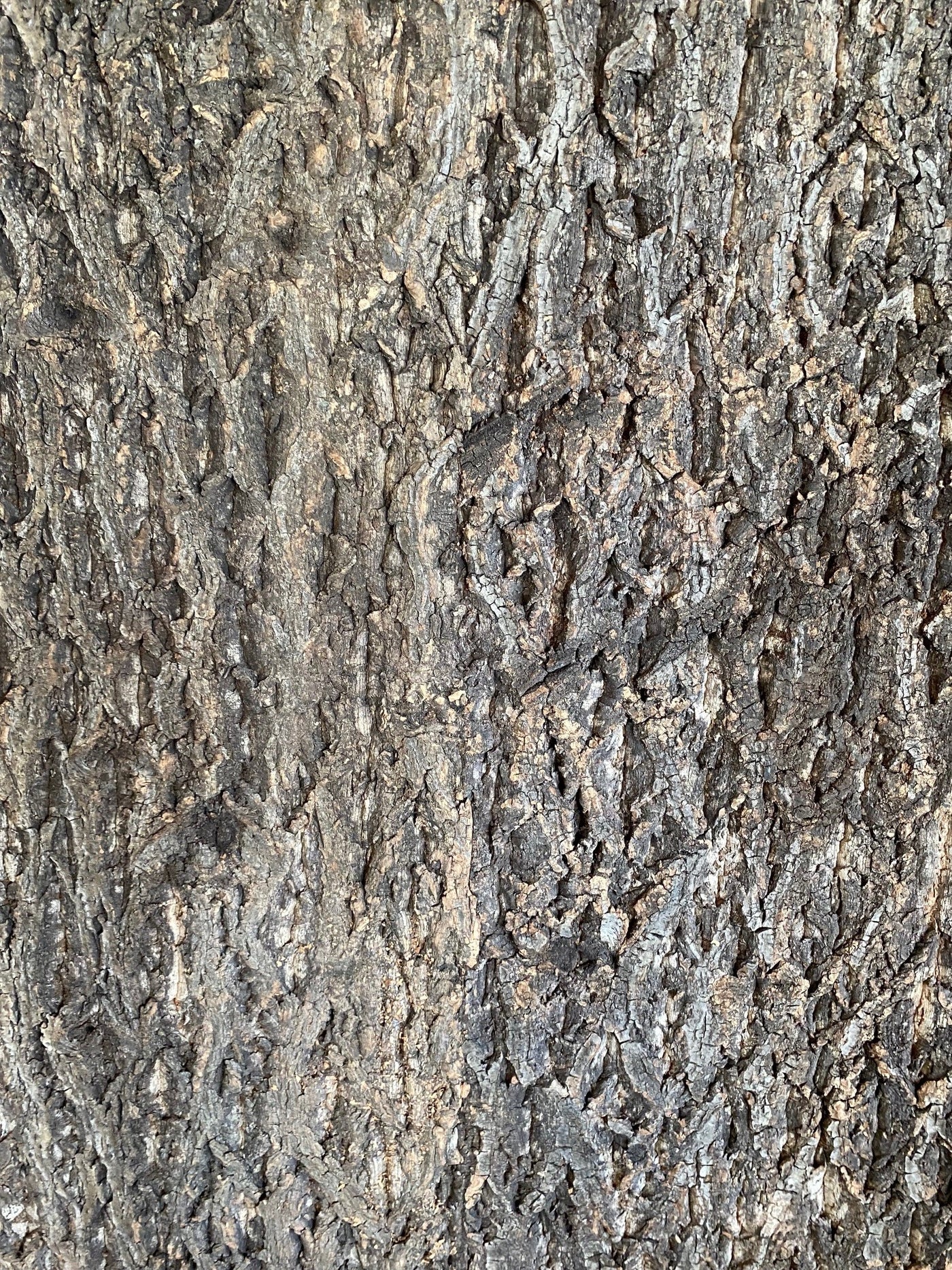 Premium Rindenkorkplatte für DIY-Projekte