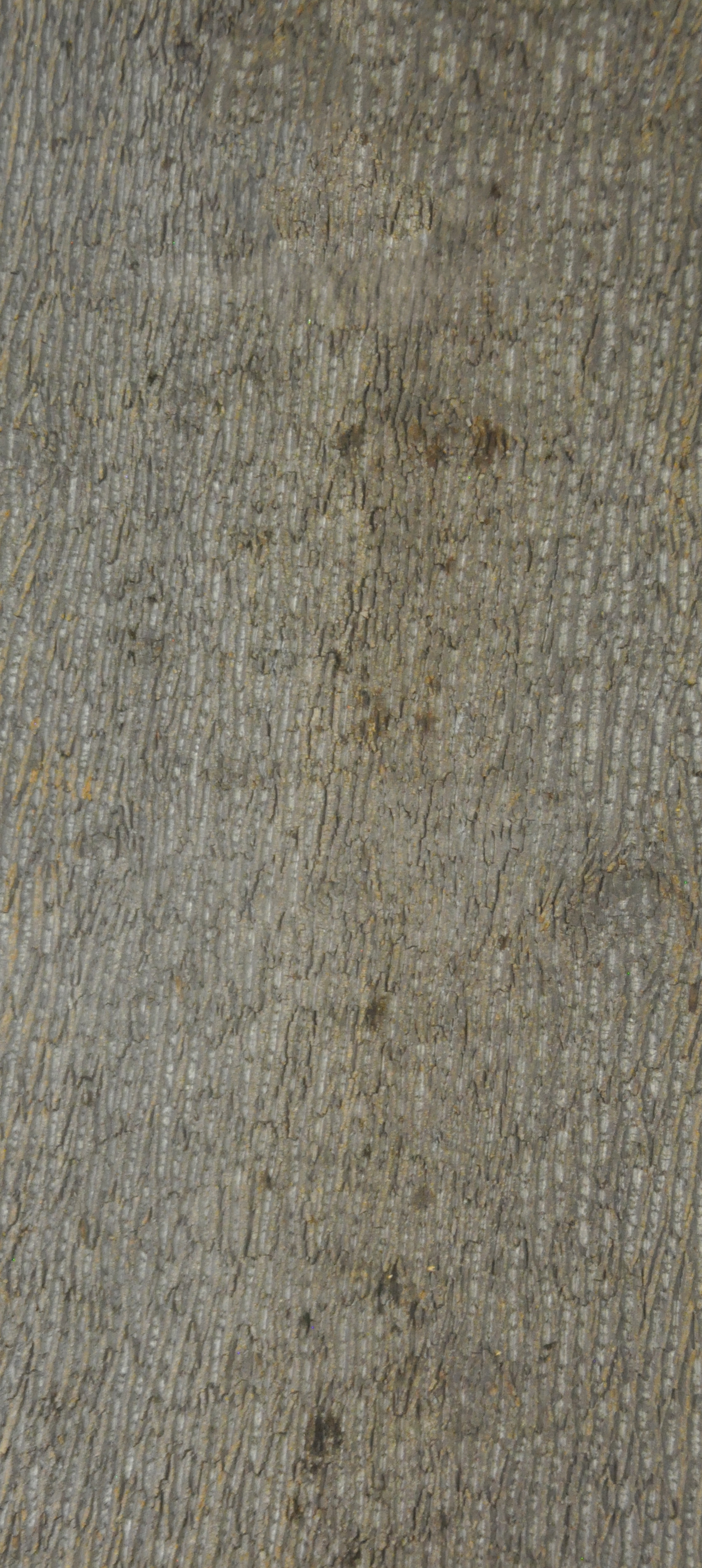 Baumrinde Pappelpaneel STD-22-0083