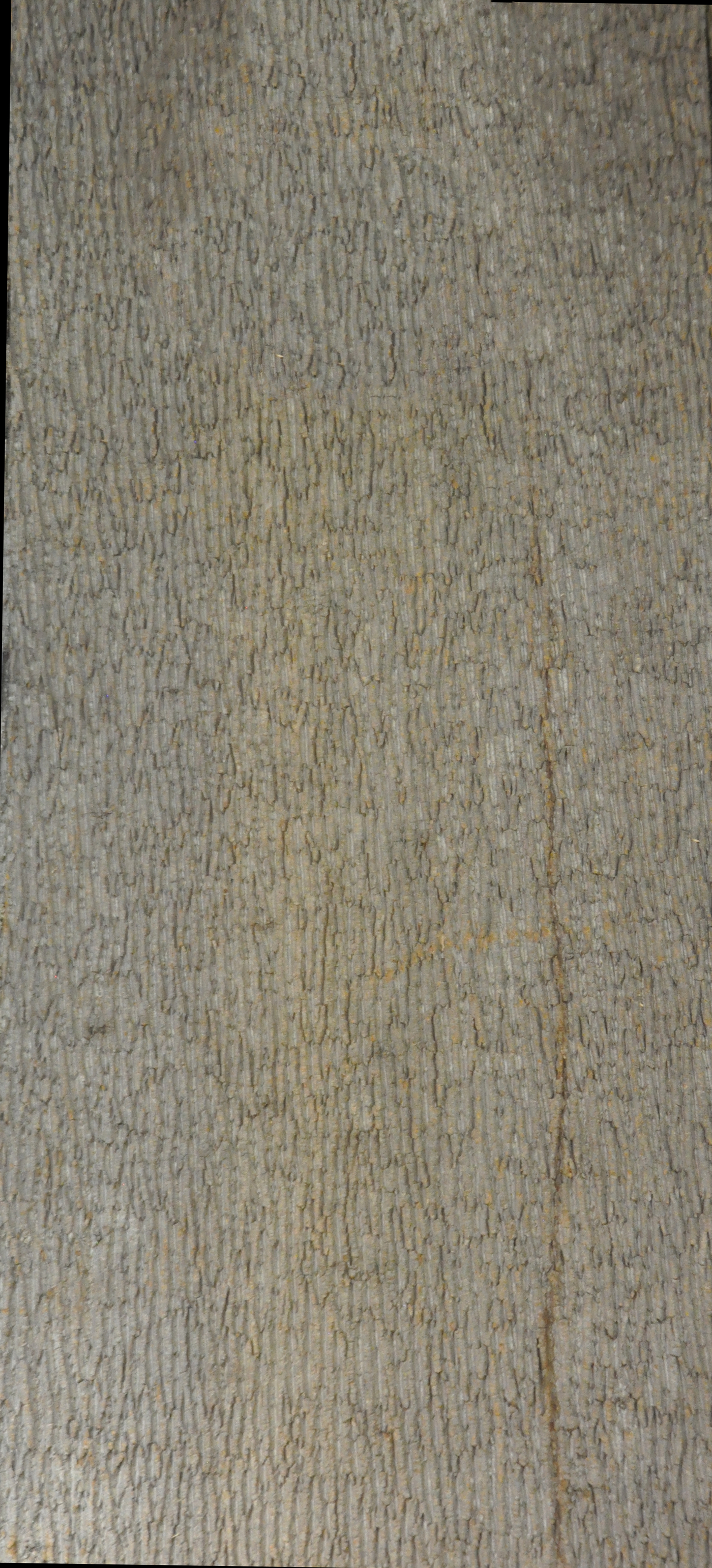 Baumrinde Pappelpaneel STD-22-0121