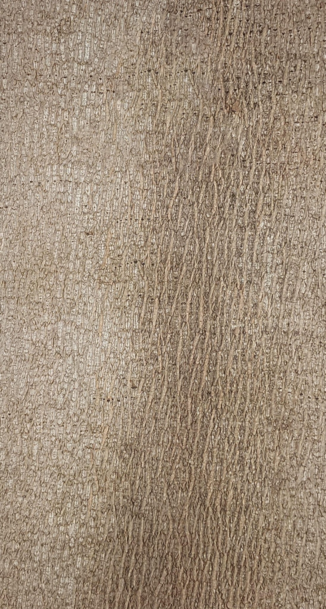 Baumrinde Pappelpaneel STD-22-0152