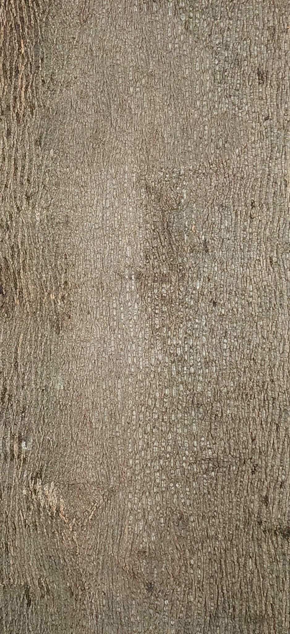 Baumrinde Pappelpaneel STD-23-0129