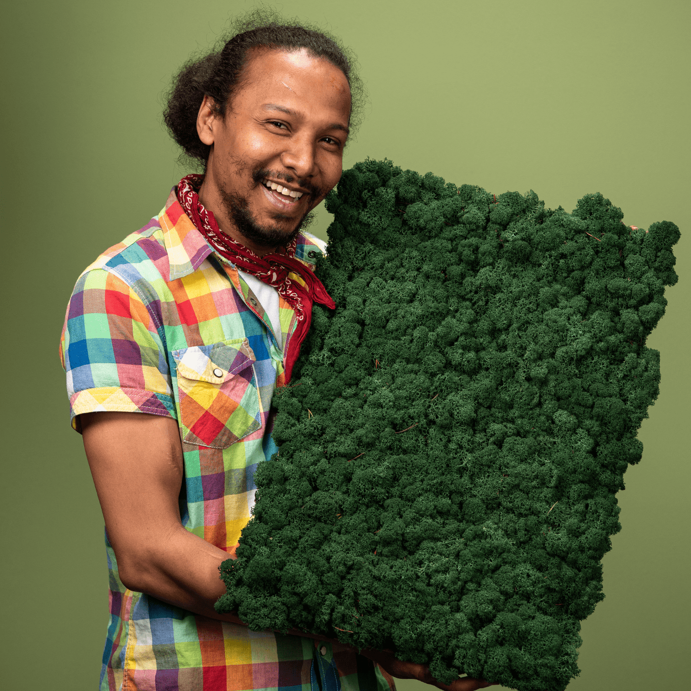 Islandmoosplatte für DIY-Projekte | Apfelgrün