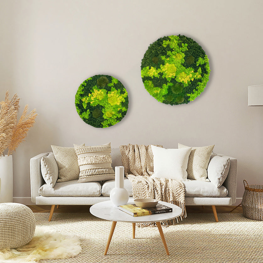 Evergreen Nebula rund