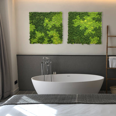 Evergreen Nebula eckig