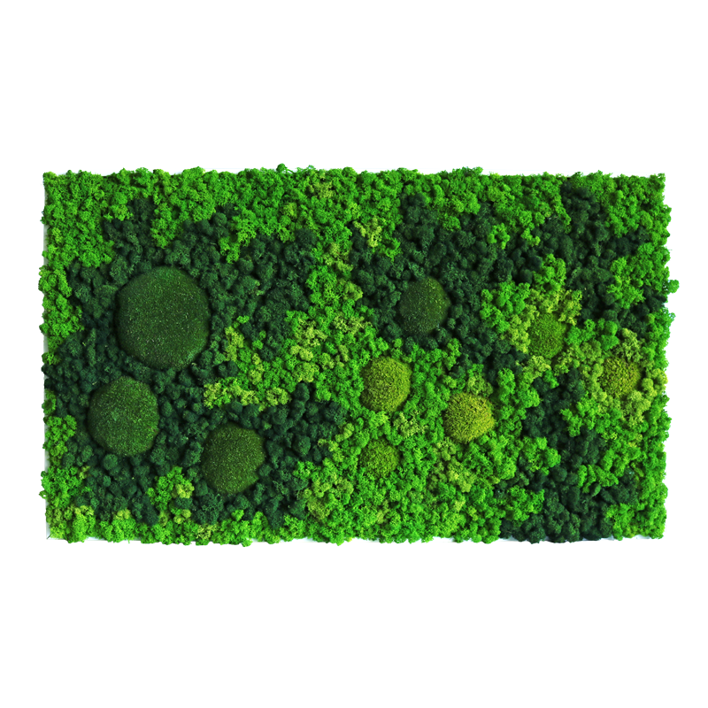 Evergreen Nebula eckig