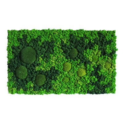 Evergreen Nebula eckig