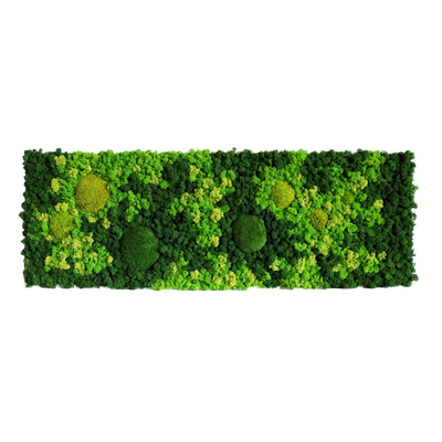 Evergreen Nebula eckig