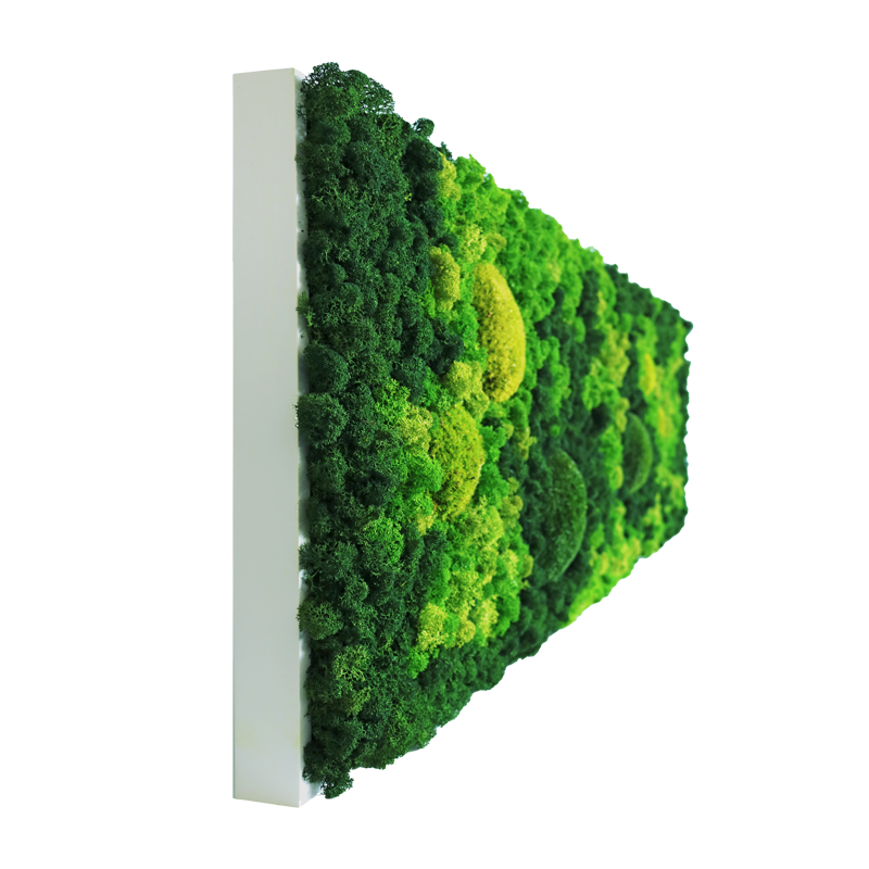 Evergreen Nebula eckig