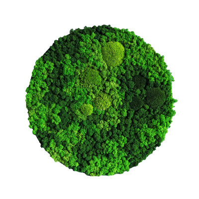 Evergreen Nebula rund