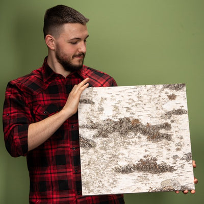 Birkenrindenplatte für DIY-Projekte