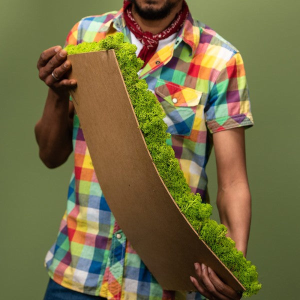 Islandmoosplatte für DIY-Projekte | Apfelgrün