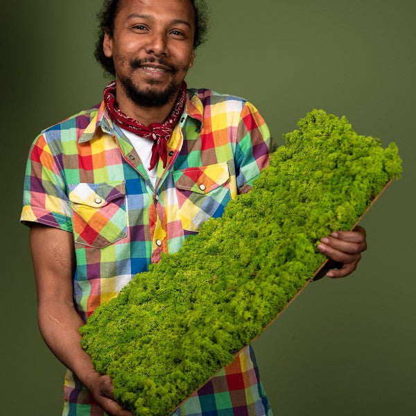 Islandmoosplatte für DIY-Projekte | Apfelgrün