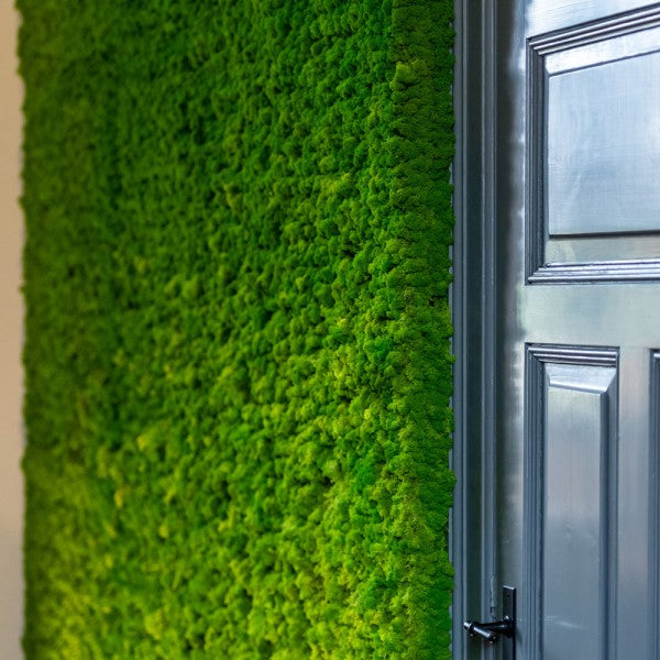 Islandmoosplatte für DIY-Projekte | Apfelgrün