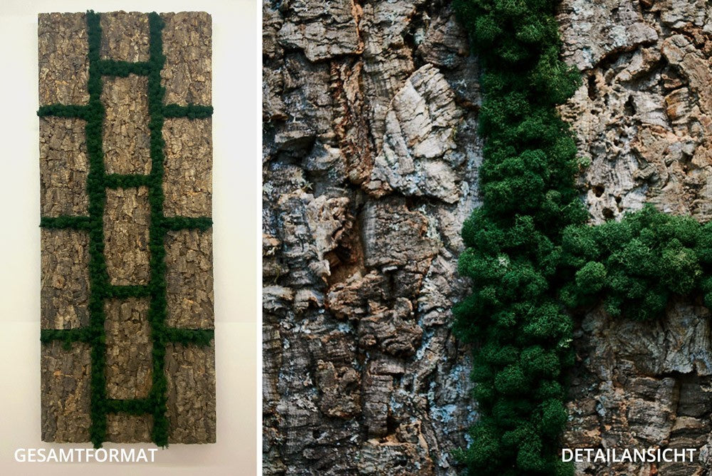 Cork bricks mit Moos