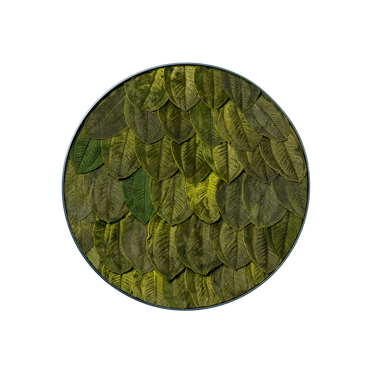 Blätterbild | rund, grün
