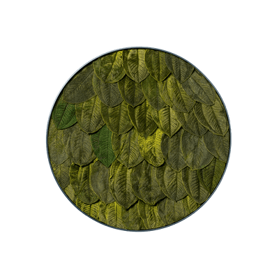 Blätterbild | rund, grün