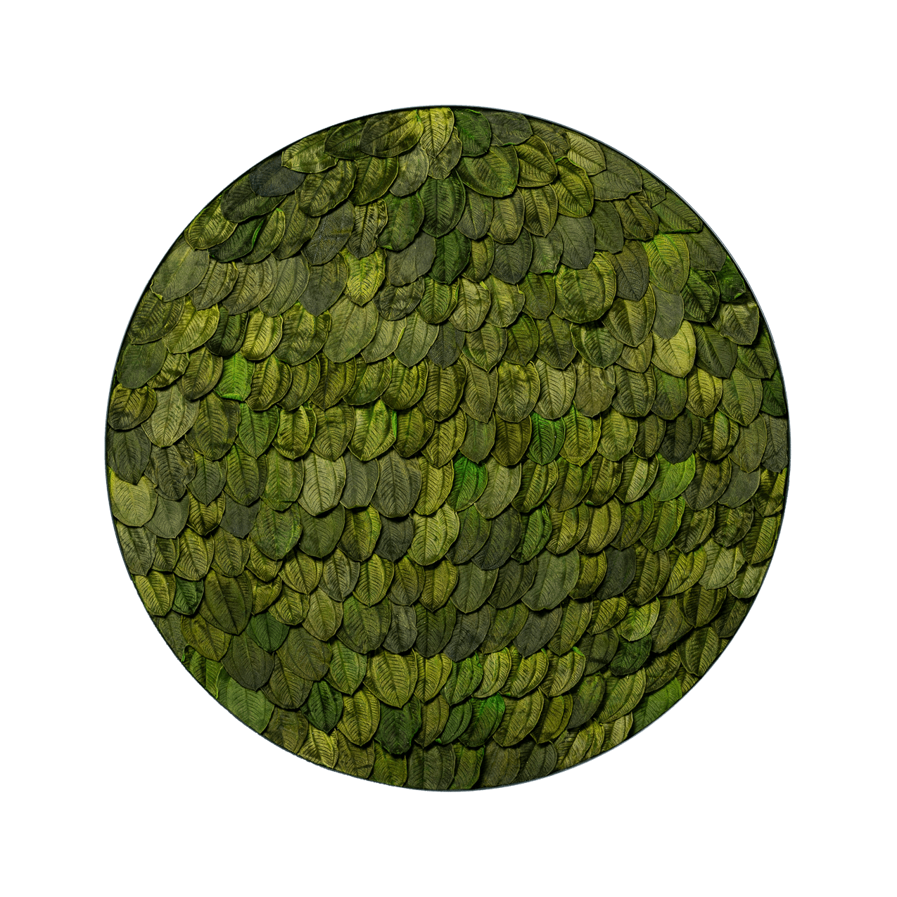 Blätterbild | rund, grün