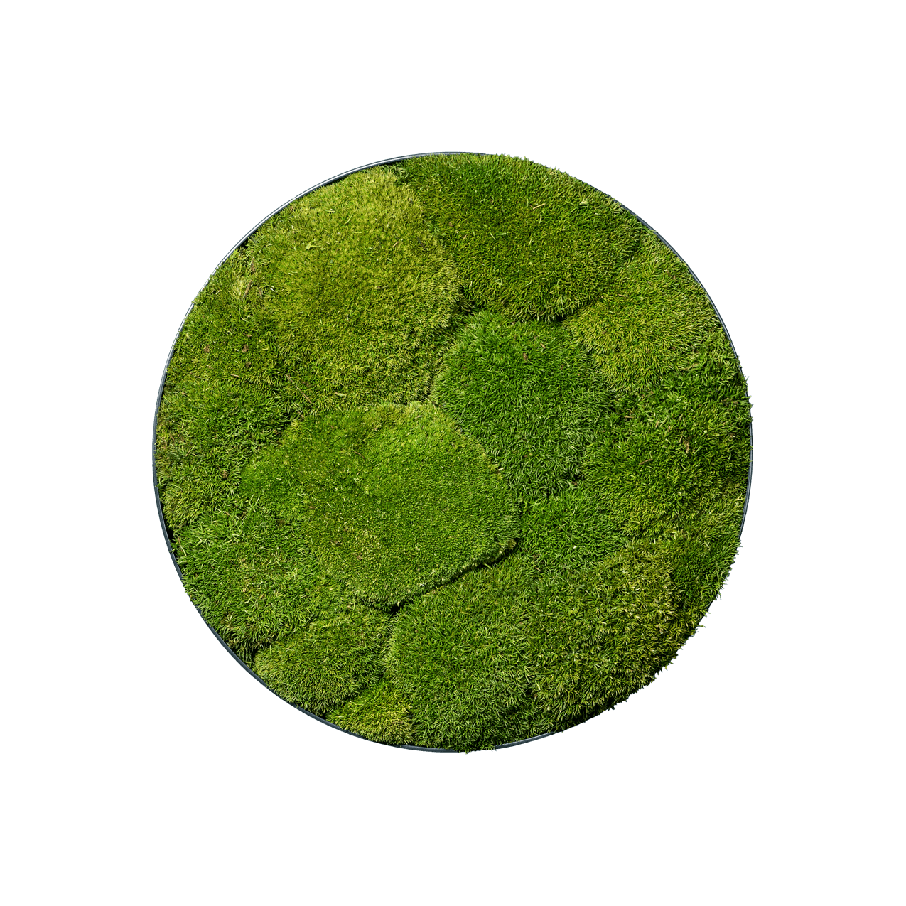 Hügelmoos | rund