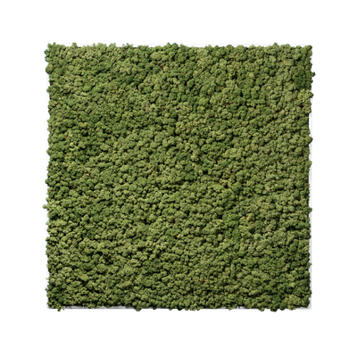 Islandmoos Waldgrün Premium | eckig