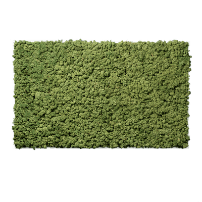 Islandmoos Apfelgrün Premium | eckig