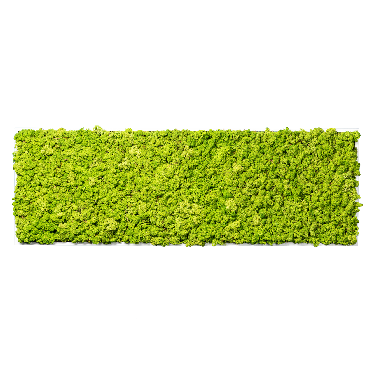 Islandmoos Waldgrün Premium | eckig