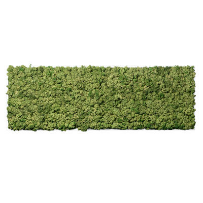 Islandmoos Waldgrün Premium | eckig