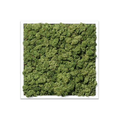 Islandmoos Waldgrün Premium | eckig