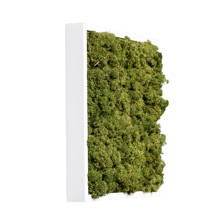 Islandmoos Waldgrün Premium | eckig