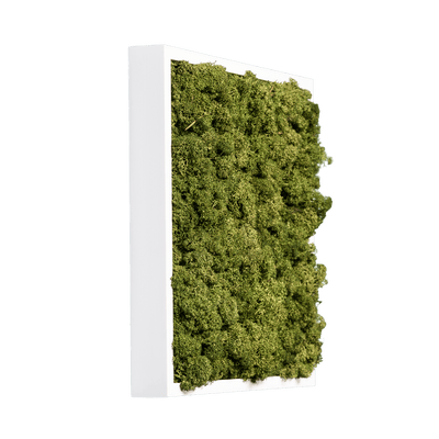 Islandmoos Waldgrün Premium | eckig