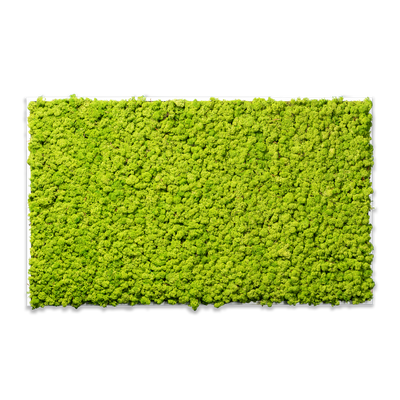 Islandmoos Waldgrün Premium | eckig