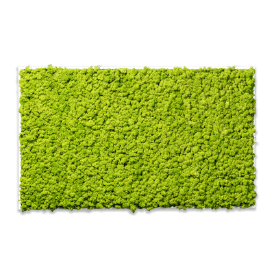 Islandmoos Apfelgrün Premium | eckig