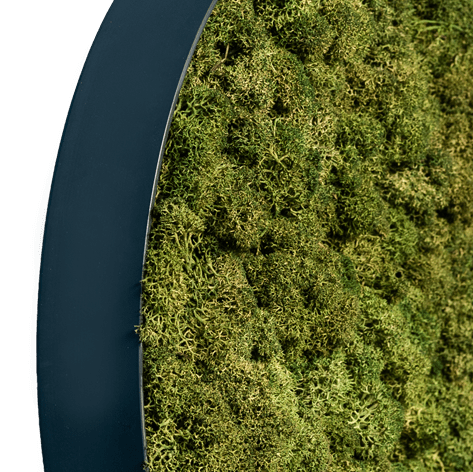 Islandmoos Waldgrün | rund