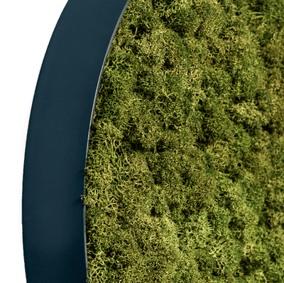 Islandmoos Waldgrün | rund