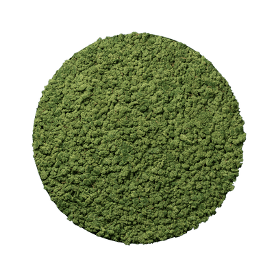 Islandmoos Apfelgrün | rund