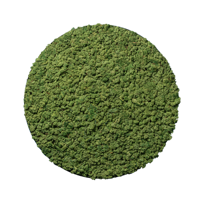 Islandmoos Waldgrün | rund