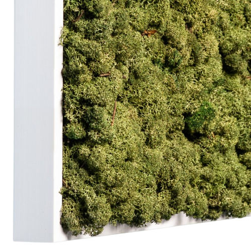 Islandmoos Waldgrün Premium | eckig