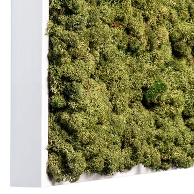 Islandmoos Waldgrün Premium | eckig